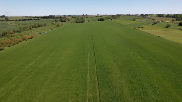 29 hectáreas hectáreas. Agrícola Uruguay